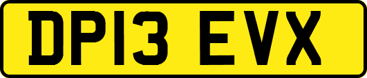 DP13EVX