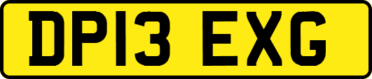 DP13EXG