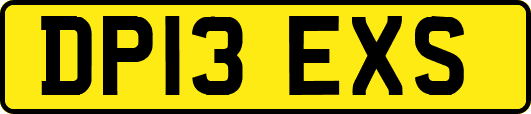 DP13EXS