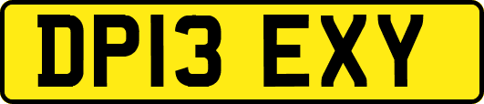 DP13EXY