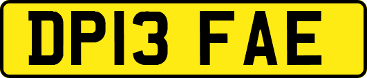 DP13FAE