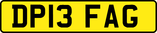 DP13FAG