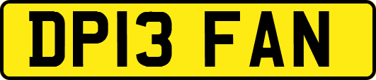 DP13FAN