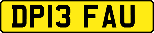 DP13FAU