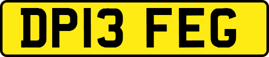 DP13FEG
