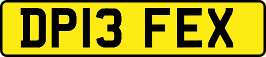 DP13FEX