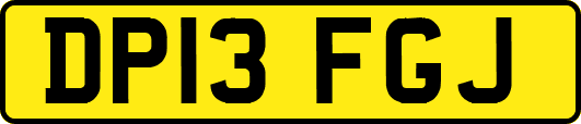 DP13FGJ