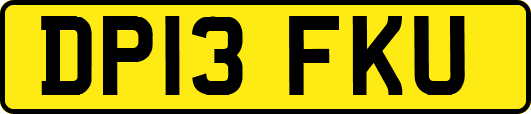 DP13FKU