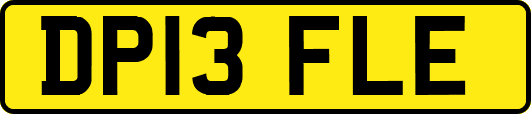 DP13FLE