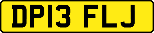 DP13FLJ
