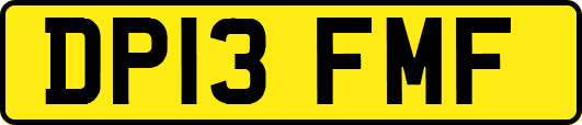 DP13FMF