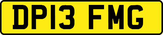 DP13FMG