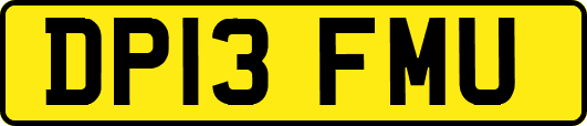 DP13FMU