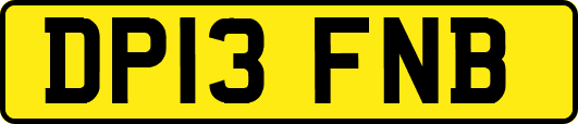 DP13FNB
