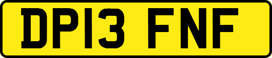 DP13FNF