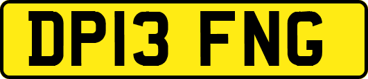DP13FNG