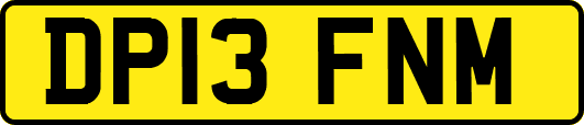 DP13FNM