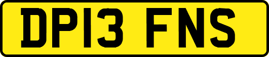 DP13FNS