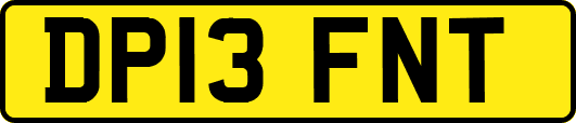 DP13FNT