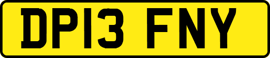 DP13FNY