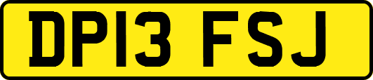 DP13FSJ