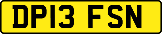 DP13FSN