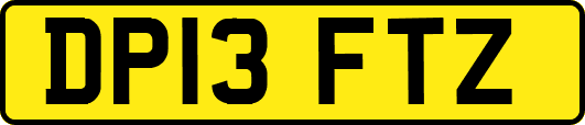 DP13FTZ