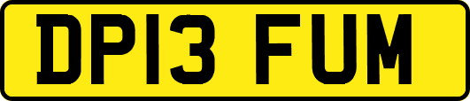 DP13FUM