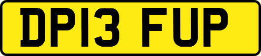 DP13FUP