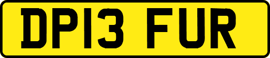 DP13FUR