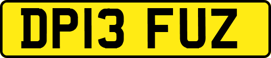 DP13FUZ