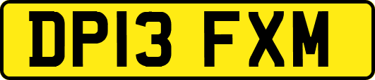 DP13FXM