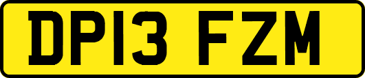 DP13FZM