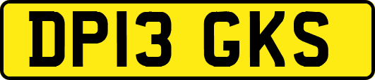 DP13GKS