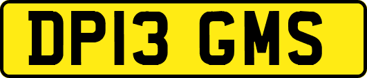 DP13GMS