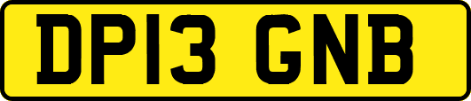 DP13GNB