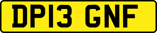 DP13GNF