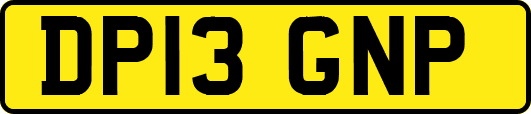 DP13GNP