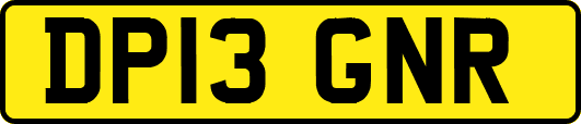 DP13GNR