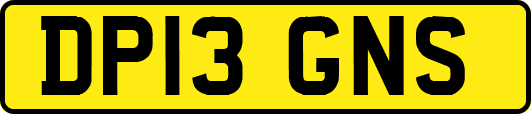 DP13GNS