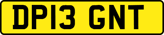 DP13GNT