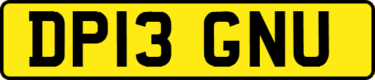 DP13GNU