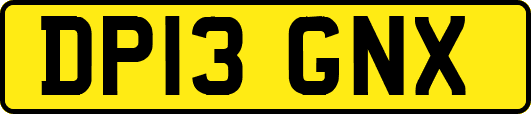 DP13GNX