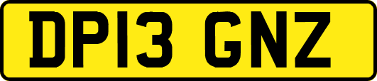 DP13GNZ