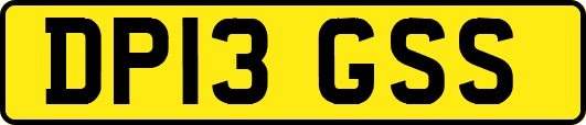 DP13GSS