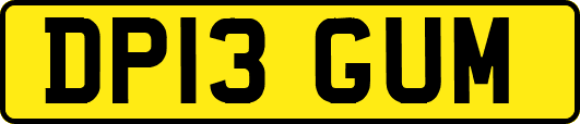 DP13GUM