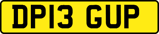 DP13GUP