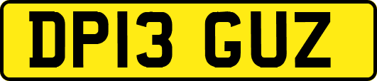 DP13GUZ