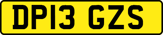 DP13GZS