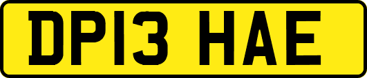 DP13HAE